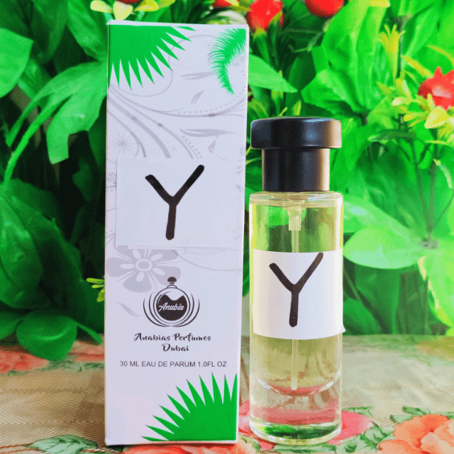 YSL Y